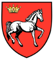 foraje puturi apa judetul iasi