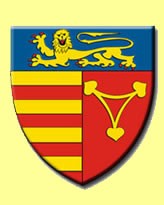 foraje puturi judetul sibiu