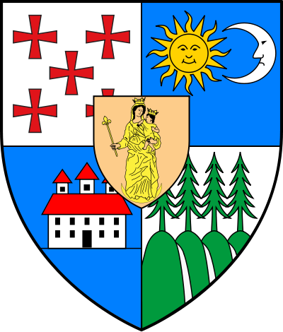 foraje puturi apa judetul satu mare