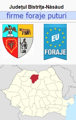 despre foraje in judetul Bistrita Nasaud Romania
