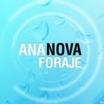 Ananova Foraje Puturi Apa 0749093200