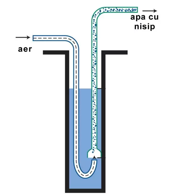 denisipari in foraje puturi
